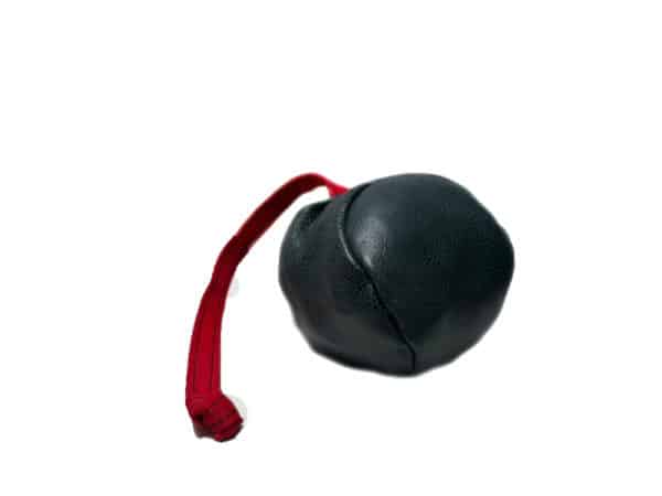 Leder Ball mit Schnur